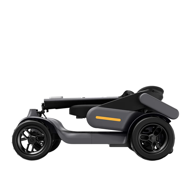 Sct_CP-02